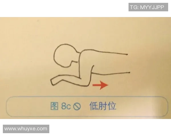 高效提升自由泳技巧的训练计划及注意事项详解 高效提升自由泳技巧的训练计划及注意事项详解