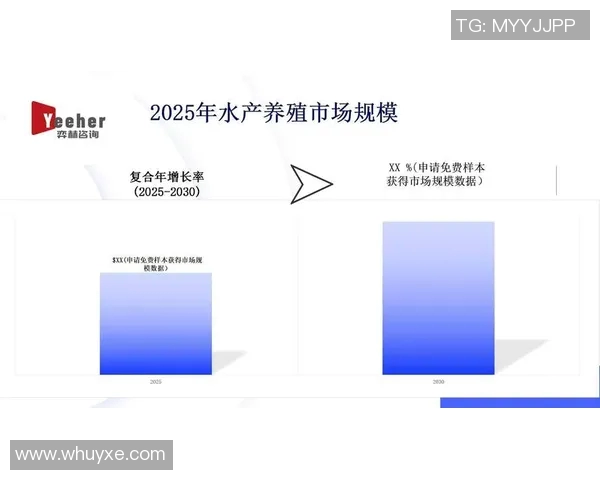 投资视角下的市场趋势分析与未来发展机遇探索