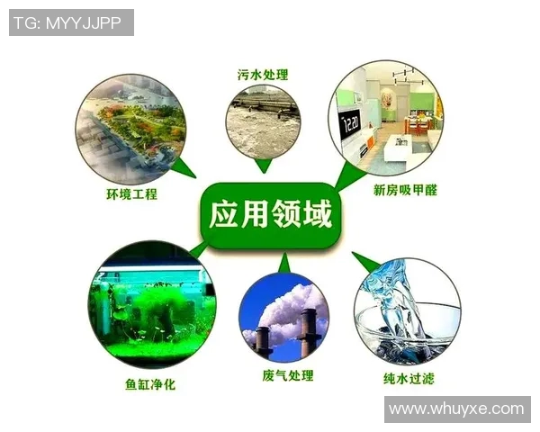 创新净水材料的研发与应用:提升水质净化效率的技术突破与挑战 创新净水材料的研发与应用:提升水质净化效率的技术突破与挑战