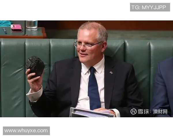 聚焦全球顶级运动员：他们的成就、故事与背后的坚持