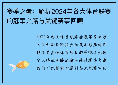 赛季之巅：解析2024年各大体育联赛的冠军之路与关键赛事回顾